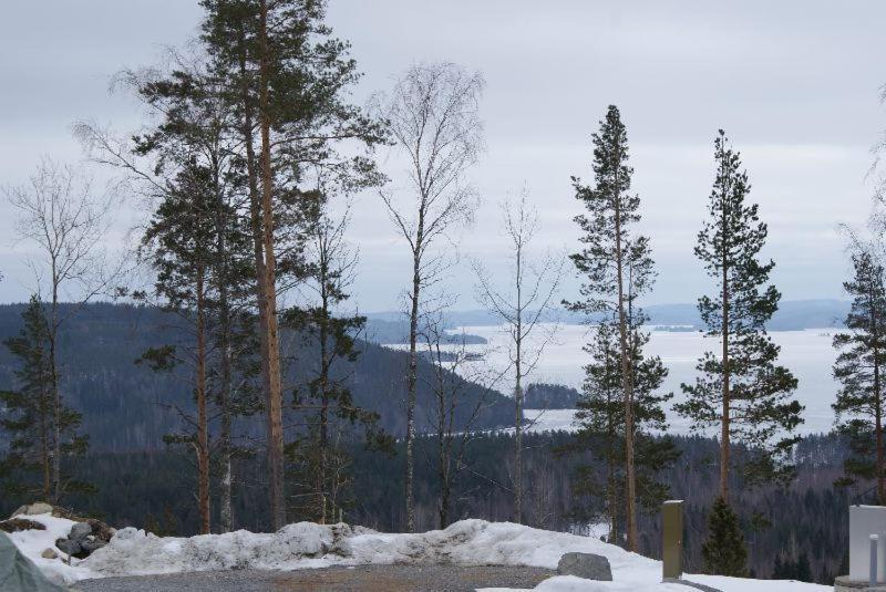 Riihivuoren Lomakylae Muurame Szoba fotó